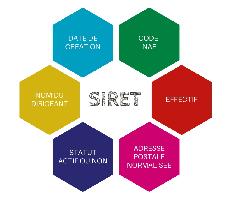 données restituées sirétisation