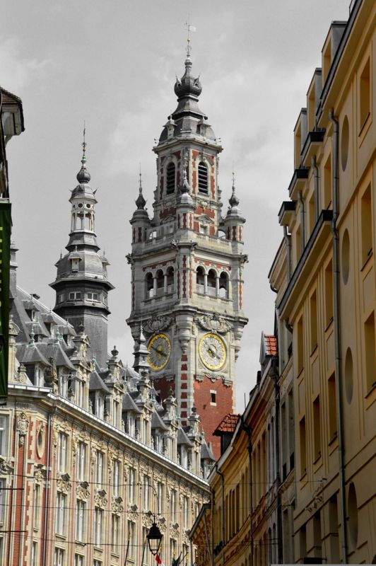 Centre Ville Lille, commerce